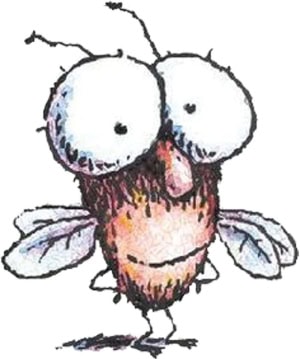 A cartoon fly