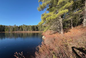 Photo of Dennison Pond. 