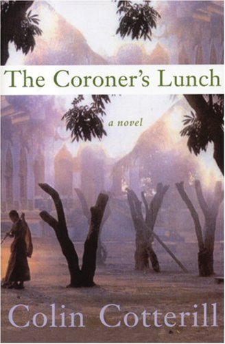Book cover showing misty light shining through Southeast Asian ruins and truncated trees
